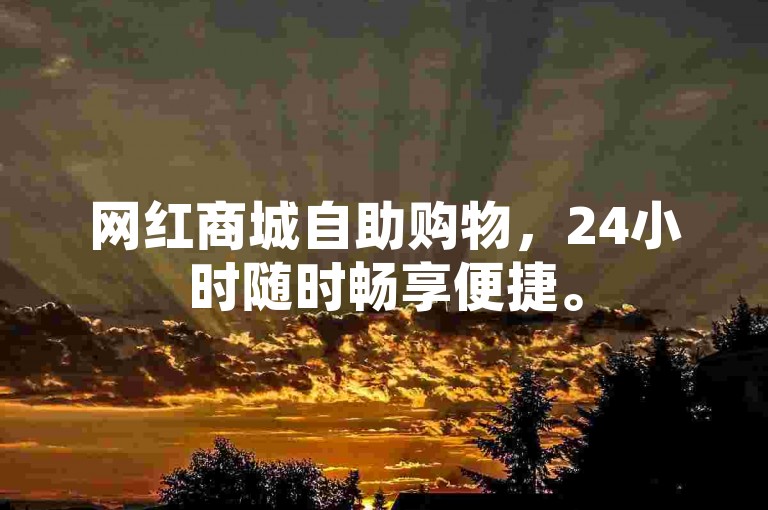 网红商城自助购物，24小时随时畅享便捷。