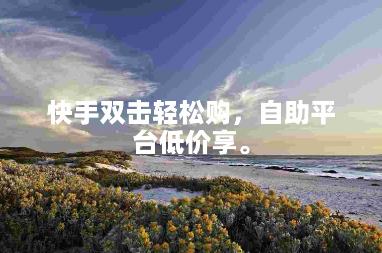 快手双击轻松购，自助平台低价享。