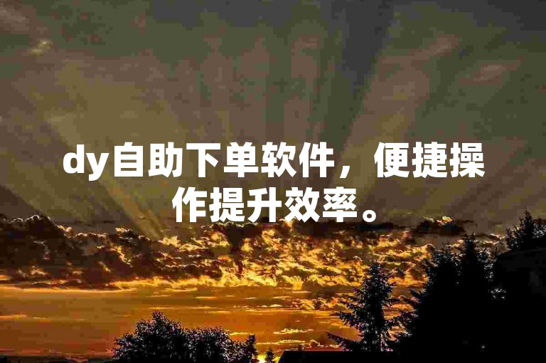 dy自助下单软件，便捷操作提升效率。