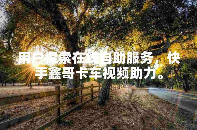 用户探索在线自助服务，快手鑫哥卡车视频助力。