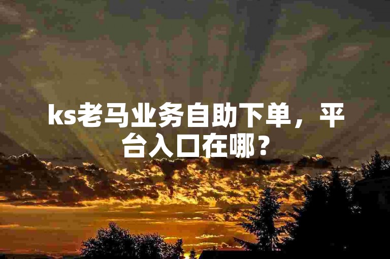 ks老马业务自助下单，平台入口在哪？