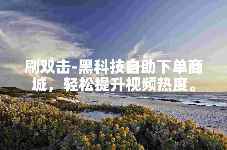 刷双击-黑科技自助下单商城，轻松提升视频热度。