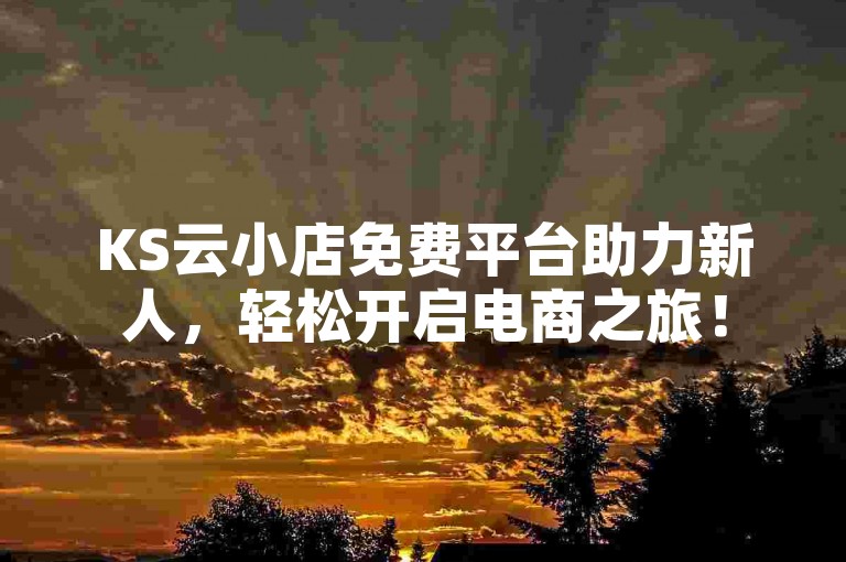 KS云小店免费平台助力新人，轻松开启电商之旅！