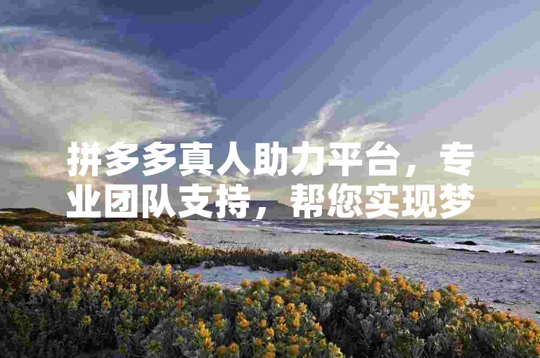 拼多多真人助力平台，专业团队支持，帮您实现梦想！
