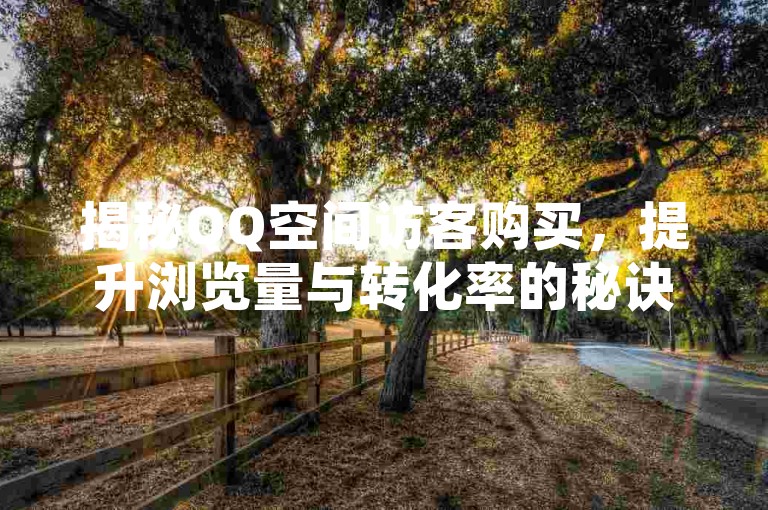 揭秘QQ空间访客购买，提升浏览量与转化率的秘诀！