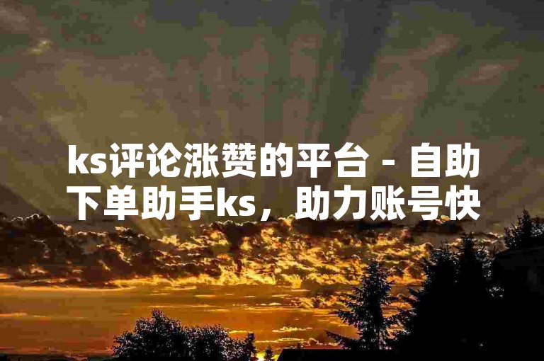 ks评论涨赞的平台 - 自助下单助手ks，助力账号快速涨粉。
