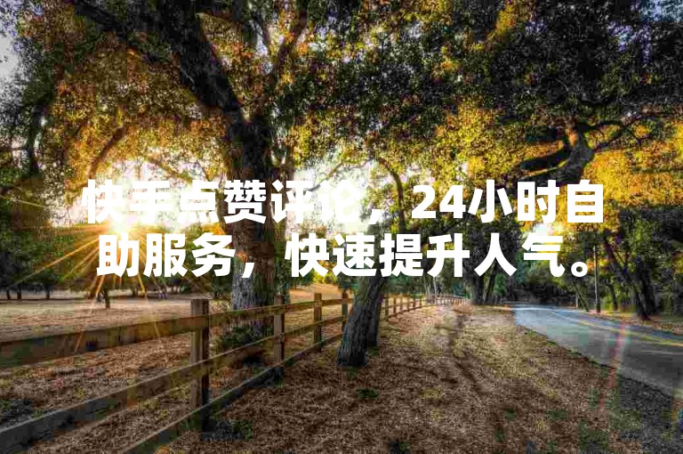 快手点赞评论，24小时自助服务，快速提升人气。