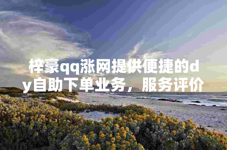 梓豪qq涨网提供便捷的dy自助下单业务，服务评价良好。