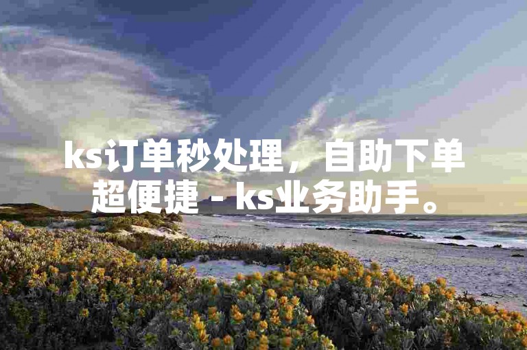 ks订单秒处理，自助下单超便捷 - ks业务助手。