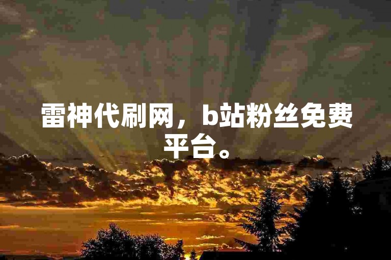 雷神代刷网，b站粉丝免费平台。