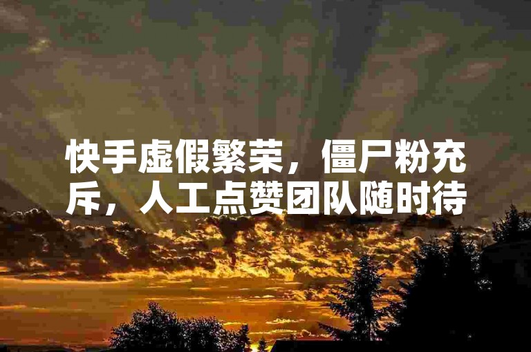 快手虚假繁荣，僵尸粉充斥，人工点赞团队随时待命。