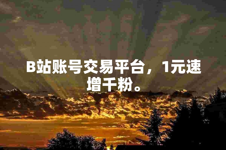 B站账号交易平台，1元速增千粉。