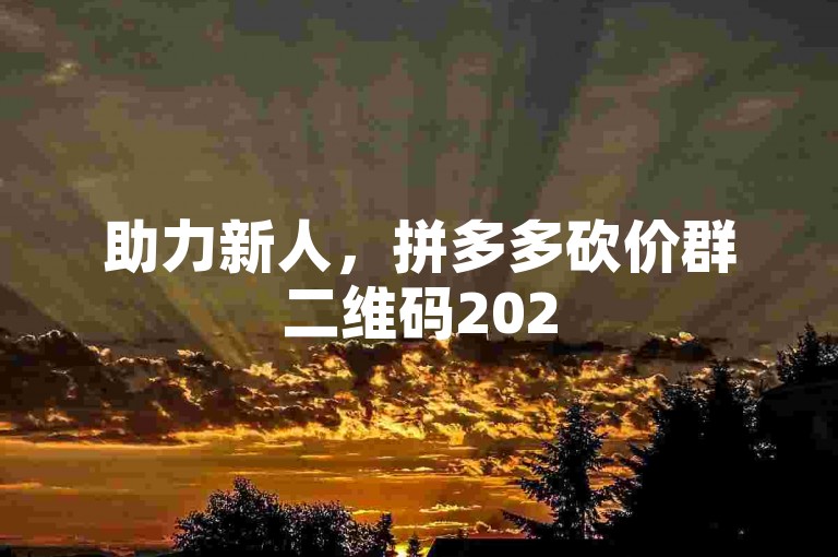 助力新人，拼多多砍价群二维码2025等你加入。