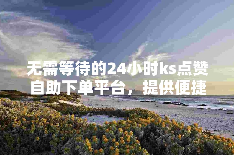 无需等待的24小时ks点赞自助下单平台，提供便捷的dy赞自助下单服务网站。