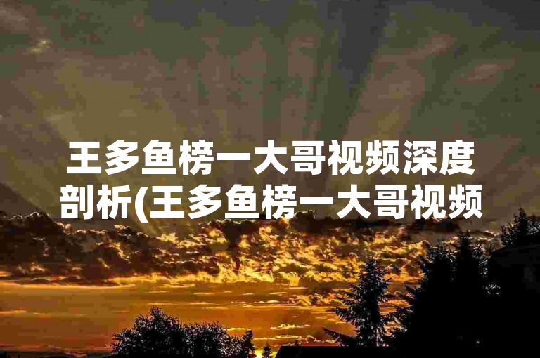 王多鱼榜一大哥视频深度剖析(王多鱼榜一大哥视频深度剖析 新标题，王多鱼榜一大哥视频解析)