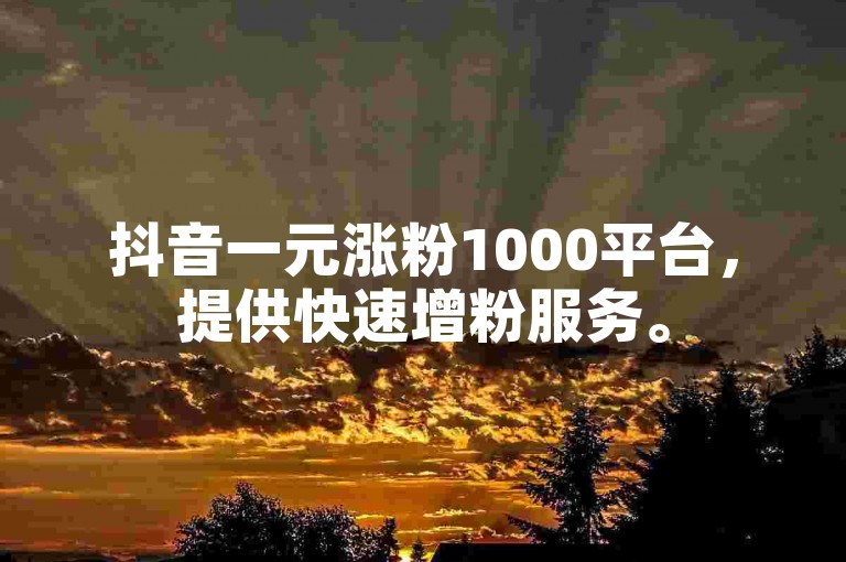 抖音一元涨粉1000平台，提供快速增粉服务。