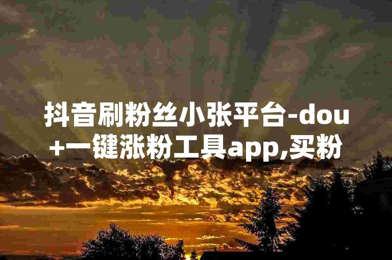 抖音刷粉丝小张平台-dou+一键涨粉工具app,买粉增流服务。