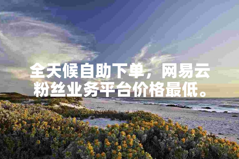 全天候自助下单，网易云粉丝业务平台价格最低。