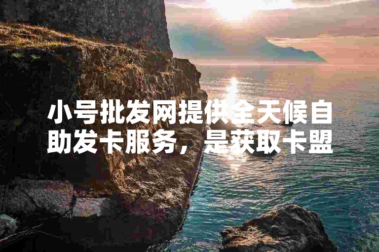 小号批发网提供全天候自助发卡服务，是获取卡盟一手货源的优质网站。