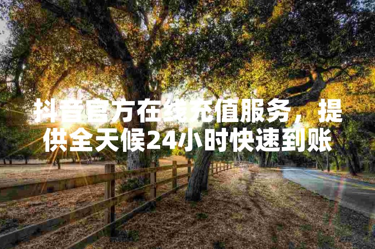 抖音官方在线充值服务，提供全天候24小时快速到账保障。