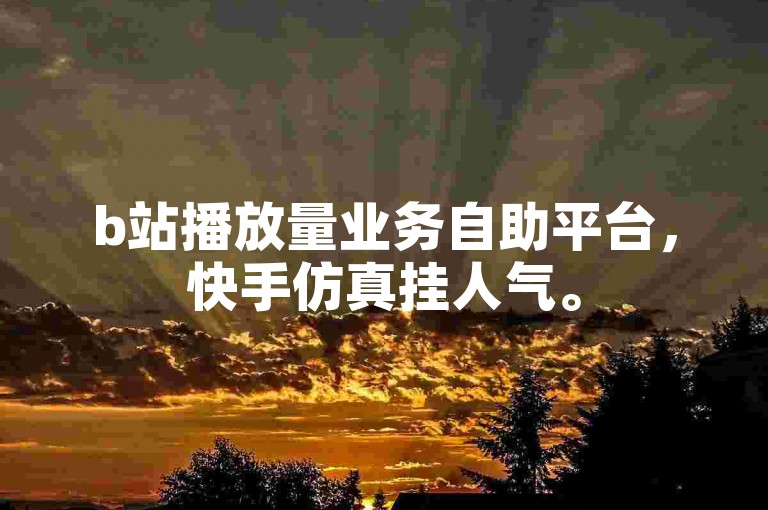 b站播放量业务自助平台，快手仿真挂人气。