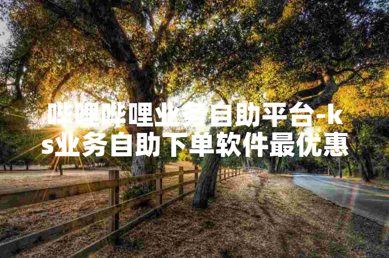 哔哩哔哩业务自助平台-ks业务自助下单软件最优惠。