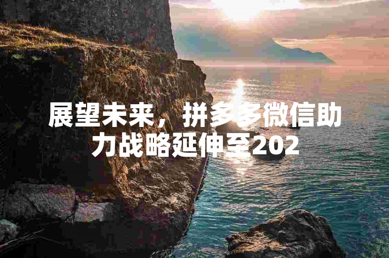 展望未来，拼多多微信助力战略延伸至2025年。