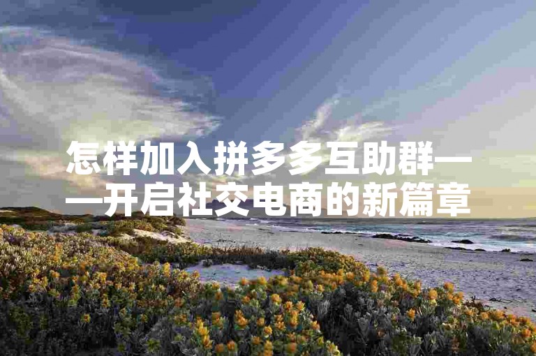 怎样加入拼多多互助群——开启社交电商的新篇章