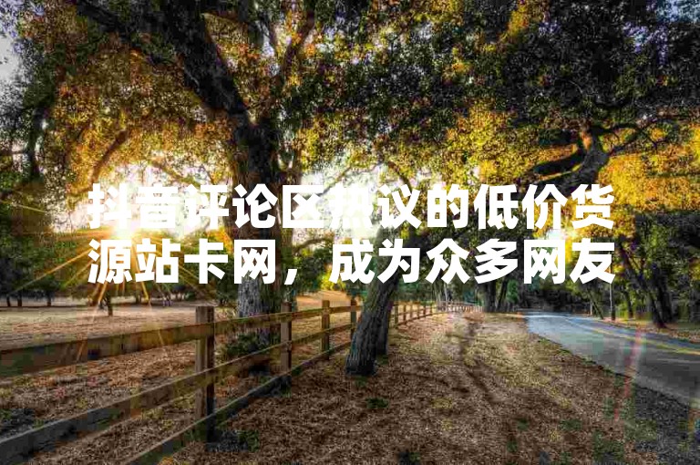 抖音评论区热议的低价货源站卡网，成为众多网友关注的焦点。