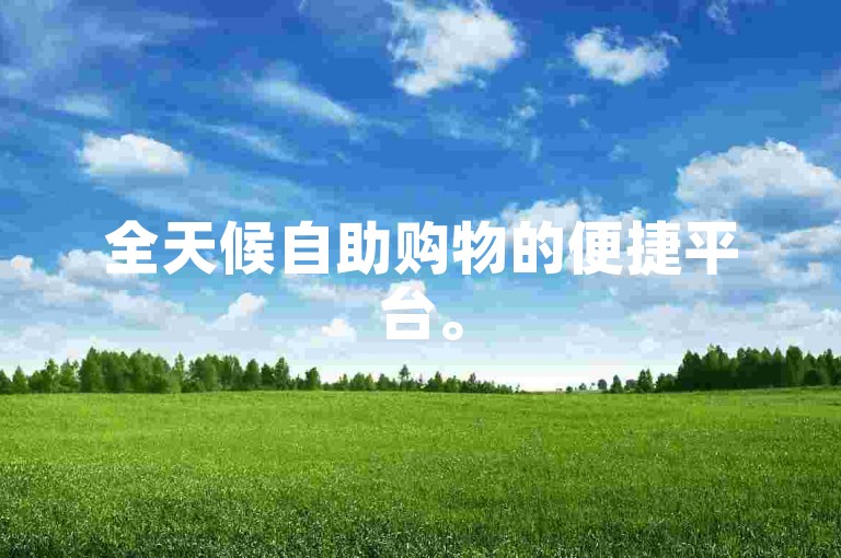 全天候自助购物的便捷平台。