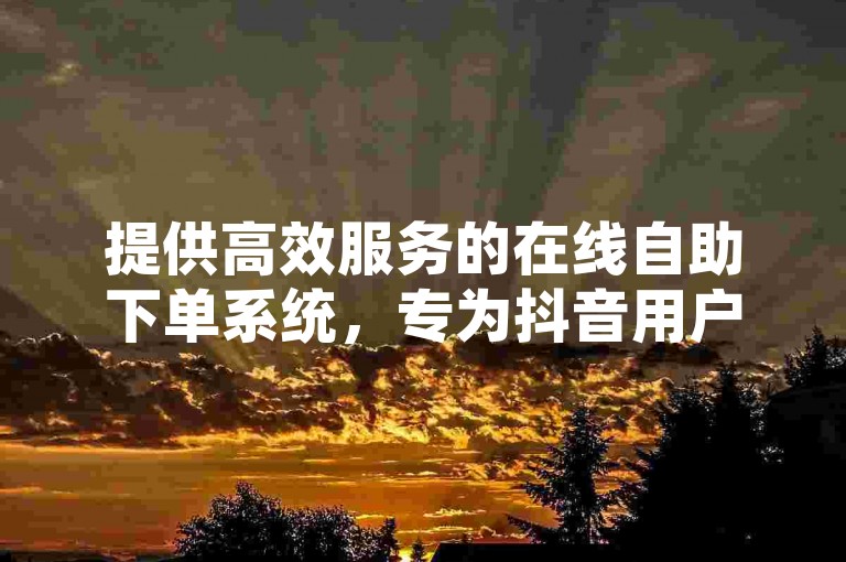 提供高效服务的在线自助下单系统，专为抖音用户设计，助力账号粉丝快速增长。