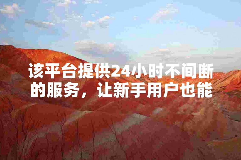 该平台提供24小时不间断的服务，让新手用户也能轻松享受优惠的浏览量自助下单体验。