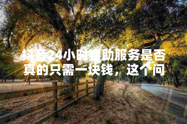 抖音24小时自助服务是否真的只需一块钱，这个问题引发了很多用户的好奇和讨论。