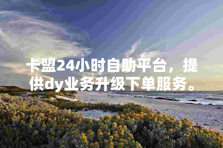 卡盟24小时自助平台，提供dy业务升级下单服务。