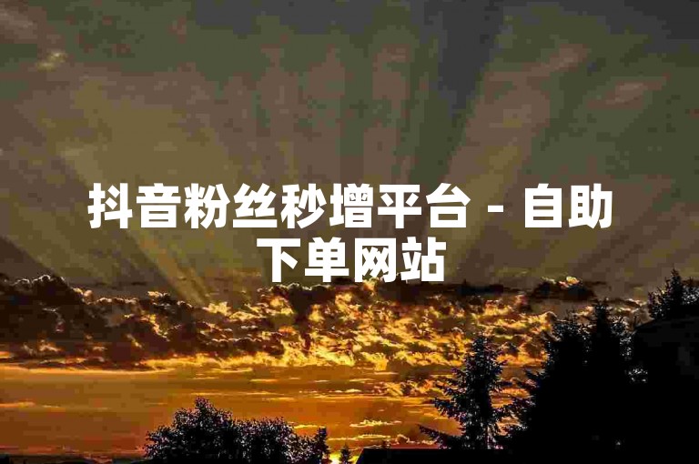 抖音粉丝秒增平台 - 自助下单网站