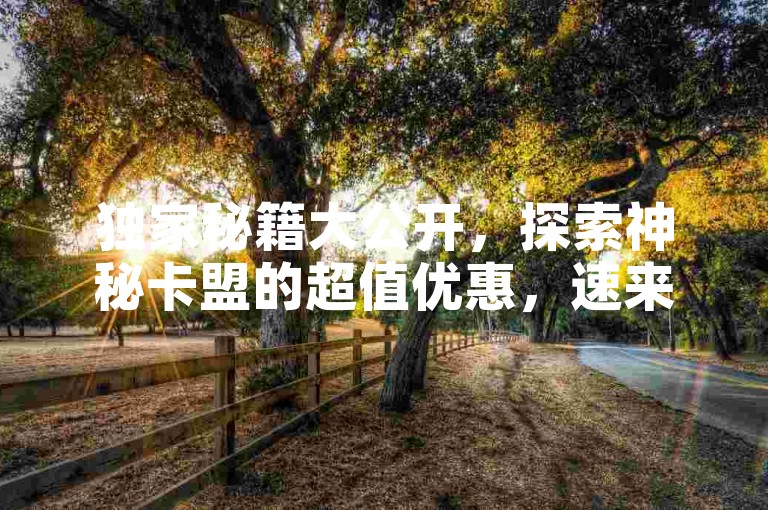 独家秘籍大公开，探索神秘卡盟的超值优惠，速来抢购！