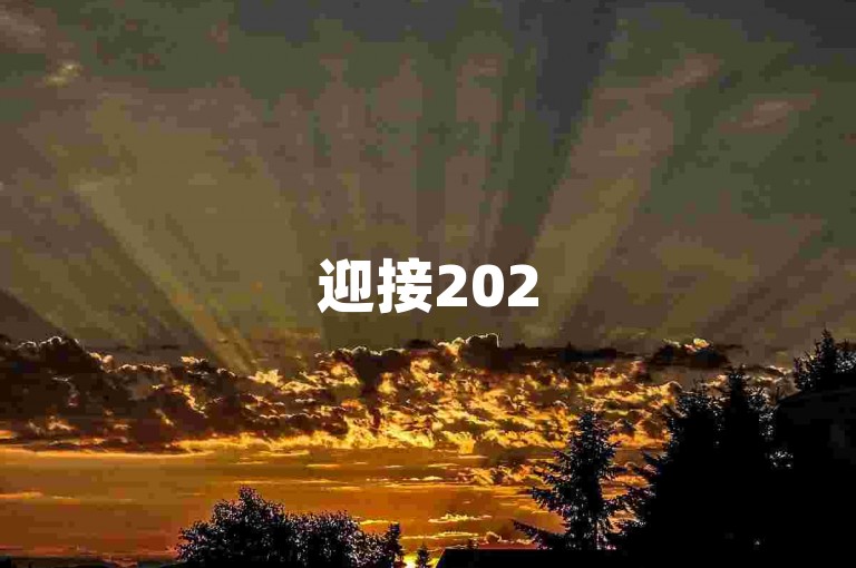 迎接2025年，携手共进，开启新篇章
