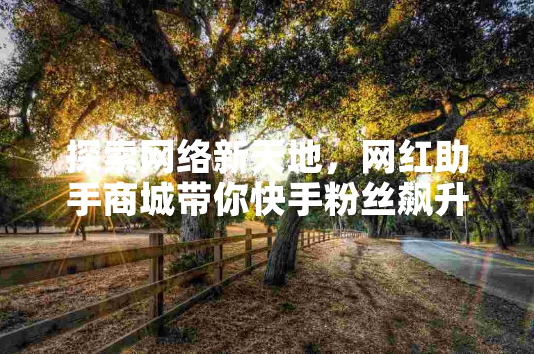 探索网络新天地，网红助手商城带你快手粉丝飙升，稳定会员增长的秘诀尽在Ks自助平台！