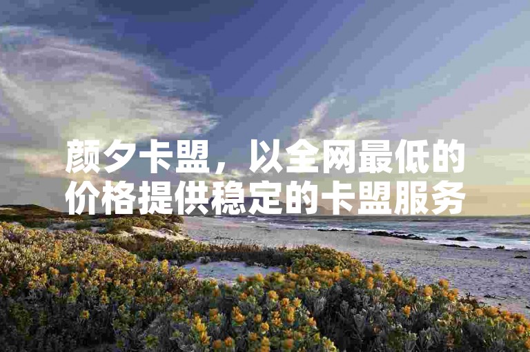 颜夕卡盟，以全网最低的价格提供稳定的卡盟服务。