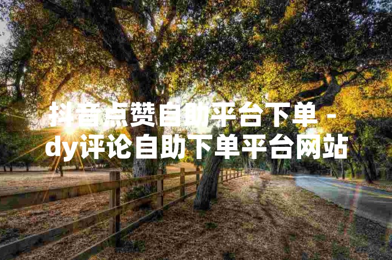 抖音点赞自助平台下单 - dy评论自助下单平台网站。