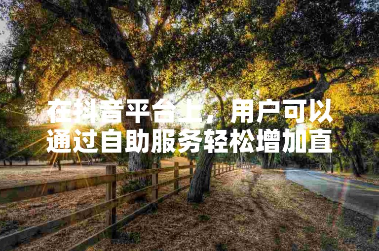 在抖音平台上，用户可以通过自助服务轻松增加直播间的人气和点赞数。