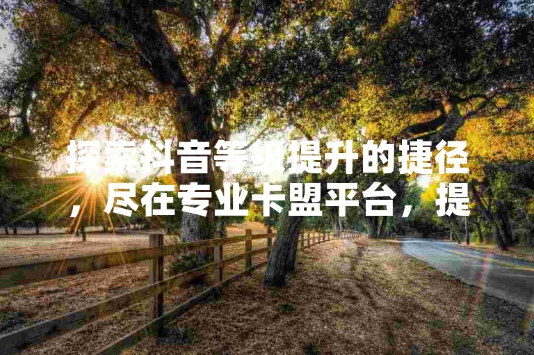 探索抖音等级提升的捷径，尽在专业卡盟平台，提供1-75级快速升级服务，享受全网最低价，一键自助下单，轻松实现KS点赞增长。