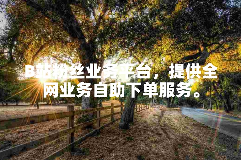 B站粉丝业务平台，提供全网业务自助下单服务。
