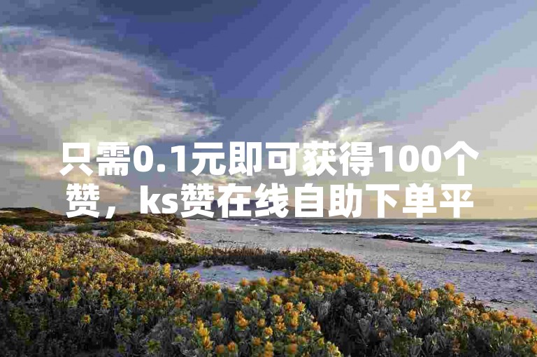 只需0.1元即可获得100个赞，ks赞在线自助下单平台提供低价服务。