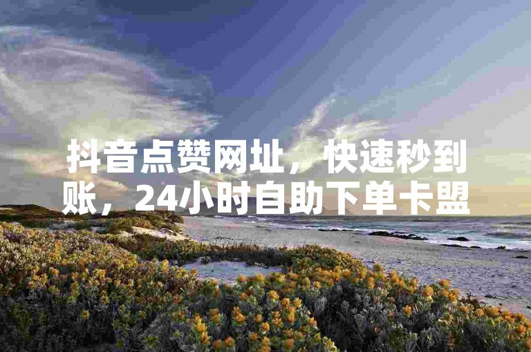 抖音点赞网址，快速秒到账，24小时自助下单卡盟服务。