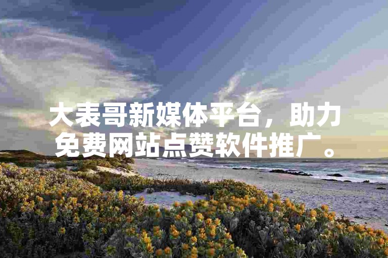 大表哥新媒体平台，助力免费网站点赞软件推广。
