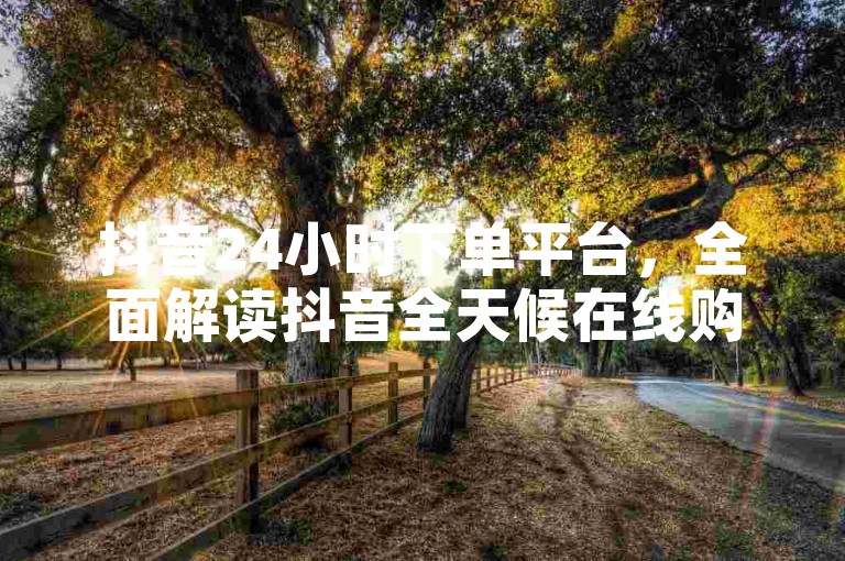 抖音24小时下单平台，全面解读抖音全天候在线购物体验。