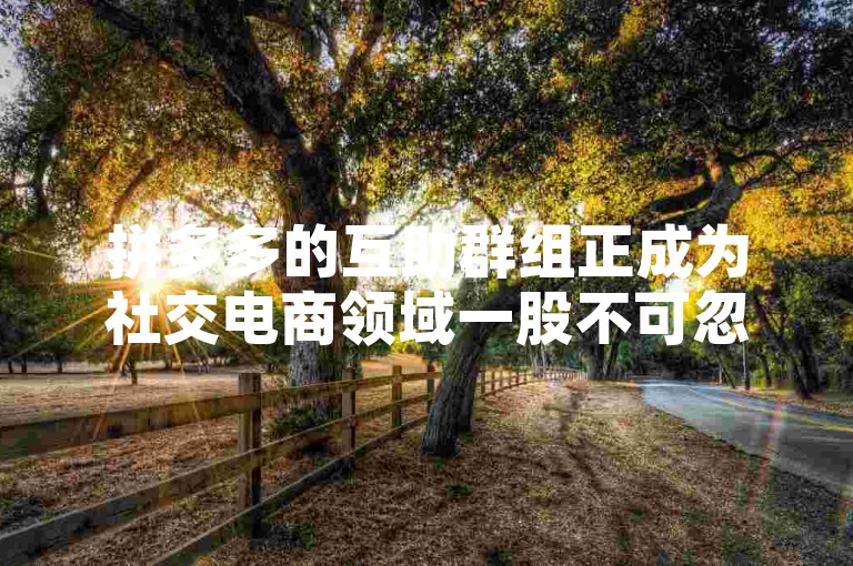 拼多多的互助群组正成为社交电商领域一股不可忽视的新动力。