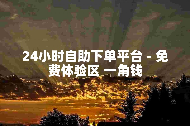 24小时自助下单平台 - 免费体验区 一角钱