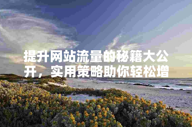 提升网站流量的秘籍大公开，实用策略助你轻松增加访客，2024年必备技巧！
